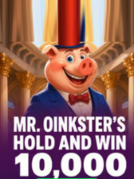 Capa do jogo Mr. Oinkster's Hold and Win